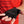 Load image into Gallery viewer, Elite Stage2 Long Cuff Gloves - Black